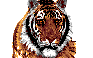 tigre.gif (14317 bytes)